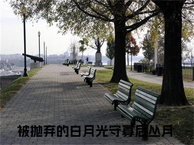 被抛弃的白月光守寡后丛月全文免费阅读无弹窗大结局_(被抛弃的白月光守寡后丛月小说)被抛弃的白月光守寡后丛月无弹窗最新章节列表