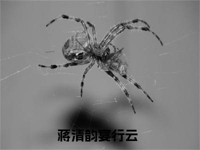 蒋清韵宴行云（蒋清韵宴行云）全文在线阅读无弹窗大结局_蒋清韵宴行云最新章节列表_笔趣阁