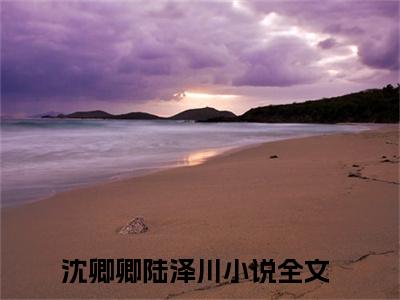 沈卿卿陆泽川完整版最新小说大结局-沈卿卿陆泽川无删版阅读