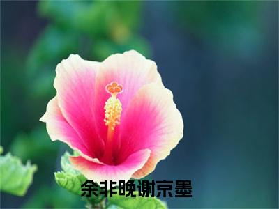 余非晚谢京墨抖音完结版阅读《余非晚谢京墨》最新章节目录好书推荐_(余非晚谢京墨)