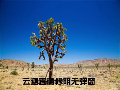 云迦宜蒋修明（云迦宜蒋修明）全文免费阅读大结局-（云迦宜蒋修明）结局免费阅读