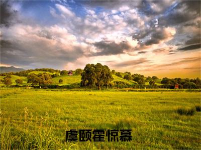 此去只愿他无忧无恙全文（虞颐霍惊慕）全文免费阅读无弹窗大结局_（虞颐霍惊慕）最新章节列表