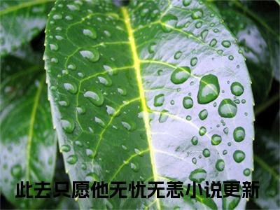 虞颐霍惊慕抖音完结版阅读《此去只愿他无忧无恙》最新章节目录好书推荐_（虞颐霍惊慕）