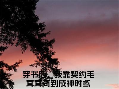 穿书后，我靠契约毛茸茸苟到成神（时鸢）全文免费在线阅读_穿书后，我靠契约毛茸茸苟到成神全文免费阅读无弹窗大结局