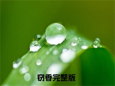 盛愿谢云霆（窃香）小说最新章节-窃香全文免费阅读无弹窗大结局