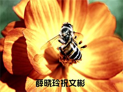 (热推新书)薛晓玲祝文彬完整版免费小说无弹窗阅读_薛晓玲祝文彬最新章节列表_笔趣阁（薛晓玲祝文彬）