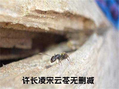 许长凌宋云苓（许长凌宋云苓）全文完整版免费阅读_（许长凌宋云苓全文免费阅读）最新章节列表_笔趣阁