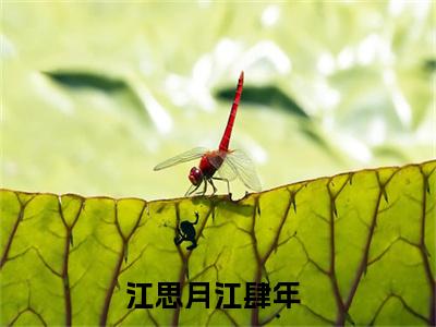 江思月江肆年小说（江思月江肆年）免费阅读全文无弹窗大结局_江思月江肆年免费阅读无弹窗小说_小说笔趣阁