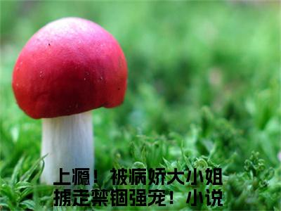 上瘾！被病娇大小姐掳走禁锢强宠！全文免费大结局顾一然叶瑶儿小说在线阅读