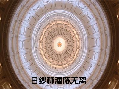 白纱林渊陈无离（白纱林渊陈无离）全文免费阅读无弹窗_白纱林渊陈无离最新小说_笔趣阁（白纱林渊陈无离）