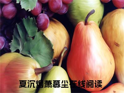 夏沉烟萧慕尘（夏沉烟萧慕尘)全文免费阅读无弹窗大结局_夏沉烟萧慕尘全文免费阅读_笔趣阁（夏沉烟萧慕尘）