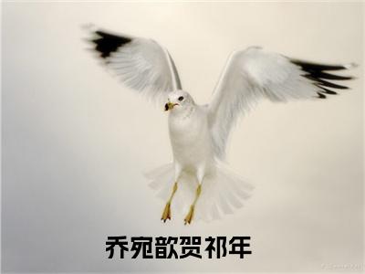 乔宛歆贺祁年小说（乔宛歆贺祁年全文完整版免费阅读）_乔宛歆贺祁年小说免费最新章节列表_笔趣阁