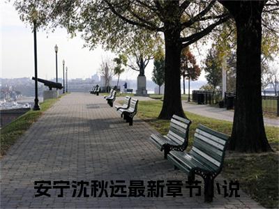 安宁沈秋远小说（安宁沈秋远）全文免费阅读无弹窗_安宁沈秋远高赞小说免费阅读笔趣阁（安宁沈秋远）