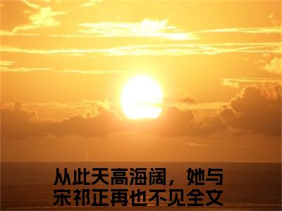 从此天高海阔，她与宋祁正再也不见（顾安宁宋祁正）全文免费阅读无弹窗大结局_（从此天高海阔，她与宋祁正再也不见阅读无弹窗）顾安宁宋祁正最新章节列表