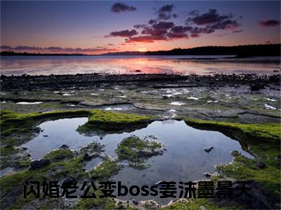 闪婚老公变boss小说大结局全文免费阅读-抖音小说姜沫墨景天