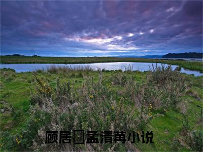 顾居峖孟清苒(顾居峖孟清苒)精彩美文-顾居峖孟清苒免费阅读