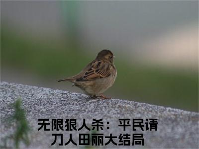 无限狼人杀：平民请刀人田丽（无限狼人杀：平民请刀人田丽）全文免费阅读无限狼人杀：平民请刀人田丽最新章节小说免费阅读_笔趣阁