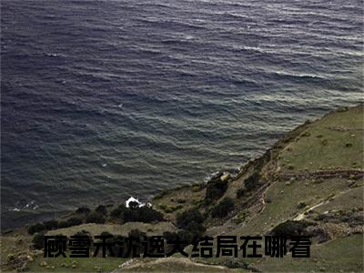 顾雪禾沈逸高赞小说（我娶了别人，你哭什么）完结阅读_顾雪禾沈逸全文完整版免费阅读最新章节列表