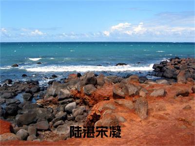 小说（陆湛宋凝）_陆湛宋凝全文阅读_陆湛宋凝免费阅读大结局