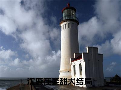 沈戚荏姜甜（沈戚荏姜甜）小说全文完整版免费阅读-沈戚荏姜甜小说最新章节免费阅读