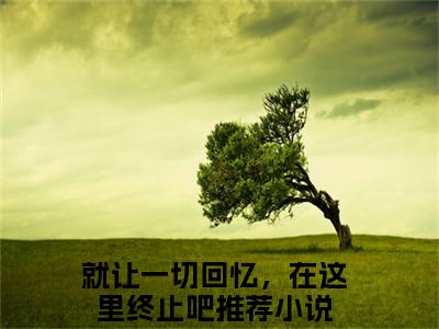 就让一切回忆，在这里终止吧全本资源免费阅读结局无删节-宋昭禾陆琮聿小说全文阅读无弹窗（就让一切回忆，在这里终止吧）