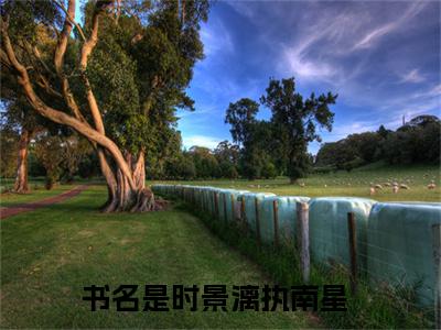 时景漓执南星热门小说全文免费阅读无弹窗大结局-时景漓执南星全文无弹窗免费阅读大结局