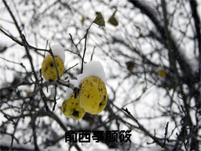 俞西亭颜筱（俞西亭颜筱）全文在线阅读无弹窗大结局_（俞西亭颜筱）俞西亭颜筱最新章节列表_笔趣阁（俞西亭颜筱）