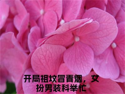 谢玉衡（开局祖坟冒青烟，女扮男装科举忙）全文免费阅读无弹窗大结局_开局祖坟冒青烟，女扮男装科举忙最新章节列表（谢玉衡）