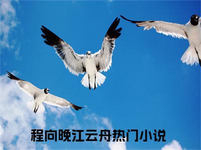 他留学归来，却给她一记重击（程向晚江云舟）全文小说-他留学归来，却给她一记重击小说最新章节免费阅读（免费）+（全文）