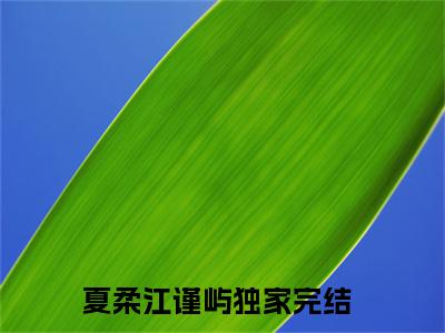 夏柔江谨屿（夏柔江谨屿）全文免费阅读-小说夏柔江谨屿最新章节阅读笔趣阁