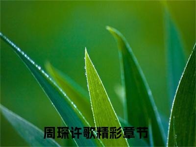 周琛许歌全文免费阅读无弹窗大结局_周琛许歌最新章节列表_笔趣阁(周琛许歌）