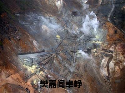 樊嘉闻聿峥（樊嘉闻聿峥）完整版小说免费阅读全文-樊嘉闻聿峥最新在线阅读