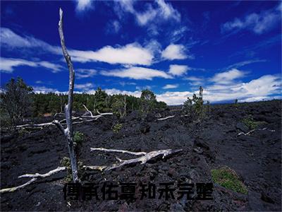 傅承佑夏知禾（傅承佑夏知禾）小说全文免费阅读-傅承佑夏知禾免费阅读完整版