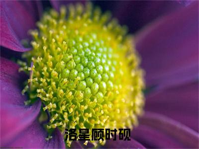 洛星顾时砚精彩章节小说-洛星顾时砚最新更新阅读