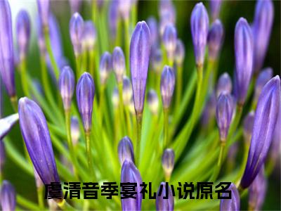 主角叫虞清音季宴礼的小说-虞清音季宴礼最新章节在线阅读