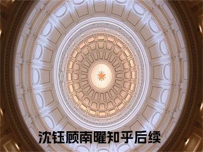 沈钰顾南曜热门小说全文免费阅读无弹窗大结局-沈钰顾南曜全文无弹窗免费阅读大结局