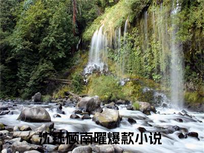 沈钰顾南曜（沈钰顾南曜）最新章节阅读-沈钰顾南曜无广告在线阅读