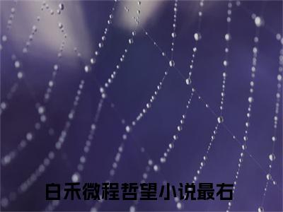 白禾微程哲望（白禾微程哲望）全文免费阅读_白禾微程哲望最新章节列表_笔趣阁