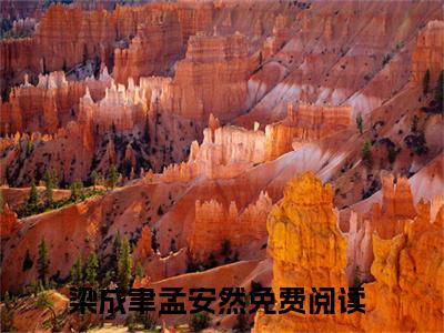 梁成聿孟安然后续+番外（梁成聿孟安然）全文免费阅读无弹窗大结局_梁成聿孟安然后续+番外免费阅读_笔趣阁（梁成聿孟安然后续+番外）