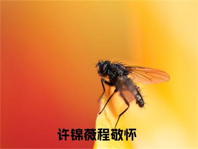 许锦薇程敬怀全文免费阅读（许锦薇程敬怀小说）全文免费阅读无弹窗大结局_（许锦薇程敬怀全文免费阅读无弹窗）许锦薇程敬怀小说最新章节列表_笔趣阁（许锦薇程敬怀）