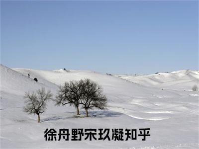 徐舟野宋玖凝全文免费阅读无弹窗大结局_(徐舟野宋玖凝免费阅读)徐舟野宋玖凝最新章节列表_笔趣阁