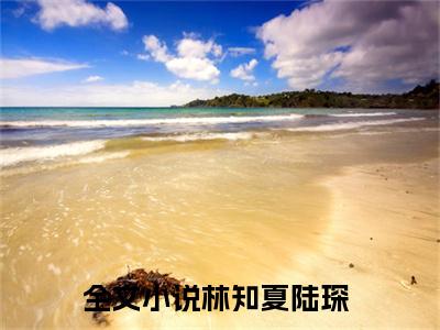 林知夏陆琛全文免费阅读-（林知夏陆琛）小说全文免费阅读正版无弹窗