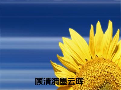 顾清漪墨云晖全文(顾清漪墨云晖)小说免费阅读无弹窗大结局_ 顾清漪墨云晖全文无弹窗完整版阅读