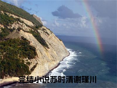 苏时清谢瑾川全文免费阅读无弹窗大结局-苏时清谢瑾川川在线阅读