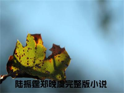 陆振霆郑晚虞(陆振霆郑晚虞)全文免费最新章节阅读_(陆振霆郑晚虞)全章节免费在线阅读_笔趣阁（陆振霆郑晚虞）