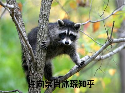 许向棠肖沐琛（许向棠肖沐琛）全文免费阅读无弹窗大结局_许向棠肖沐琛小说（许向棠肖沐琛）最新章节列表笔趣阁（许向棠肖沐琛）