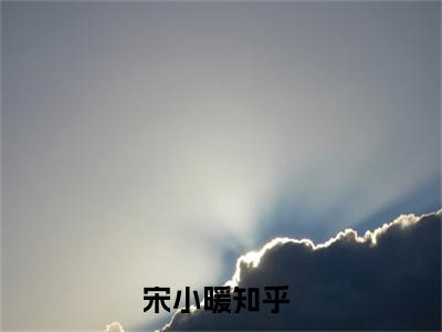 主人公叫（都重生了，谁还当舔狗啊）的小说（宋小暖）免费阅读最新章节列表_笔趣阁