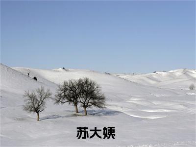 （大姨穿越，我女躺赢）最新免费小说大结局-小说大姨穿越，我女躺赢苏大姨全文免费在线阅读