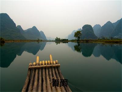 青雨免费小说-青雨完结版在线阅读