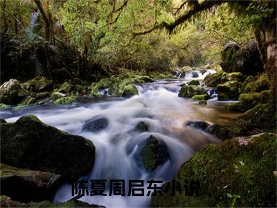 陈夏周启东（陈夏周启东）全文免费阅读无弹窗大结局_陈夏周启东免费阅读最新章节列表_笔趣阁（陈夏周启东）